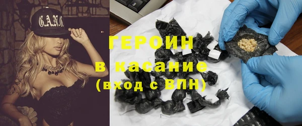 стаф Арсеньев