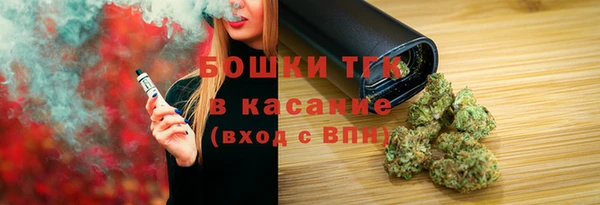 стаф Арсеньев