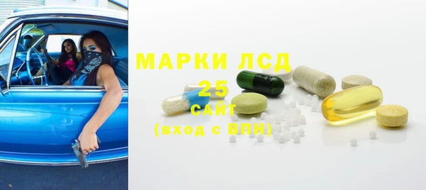 стаф Арсеньев