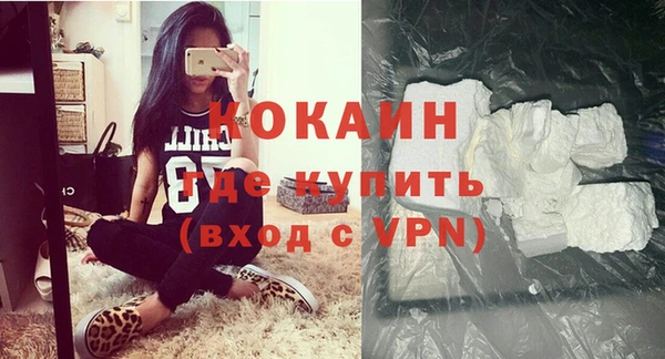 стаф Арсеньев
