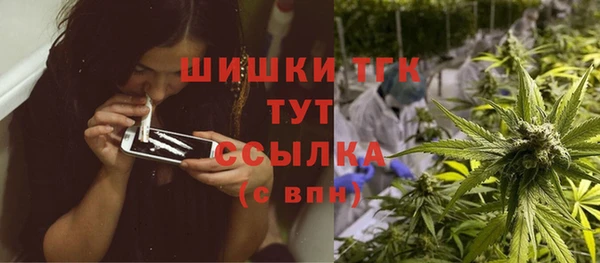 стаф Арсеньев
