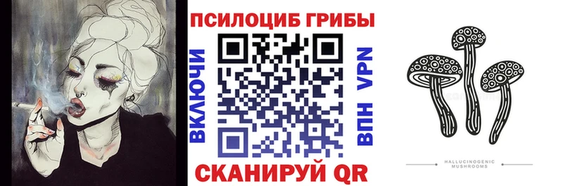 где продают   Мышкин  Галлюциногенные грибы Magic Shrooms 